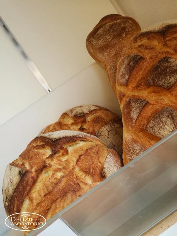 Pane Torte E Colombe Artigianali Delizie Consegna A Casa 01
